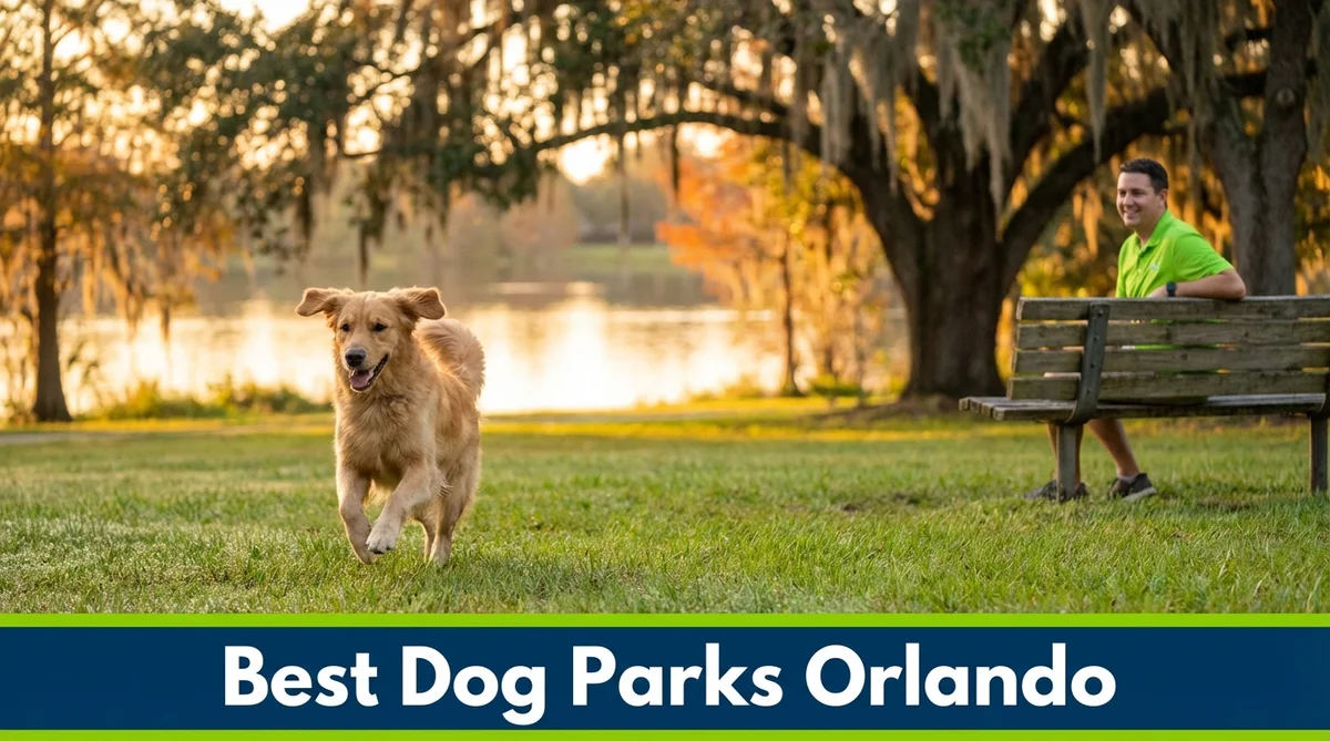 10 Best Dog Parks in Orlando, FL (2026 Vet Guide)