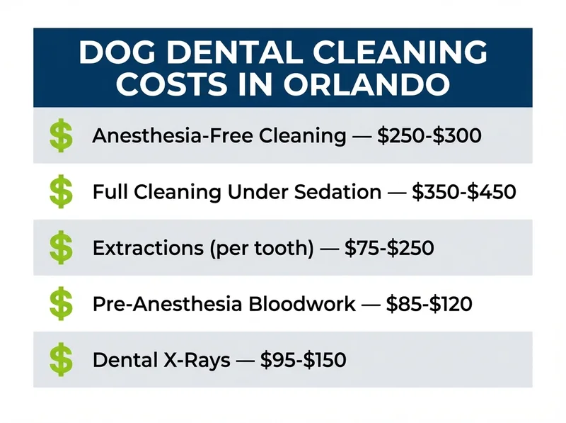 Dog dental cleaning costs in Orlando — anesthesia-free $250-$300, full cleaning under sedation $350-$450, extractions $75-$250 per tooth
