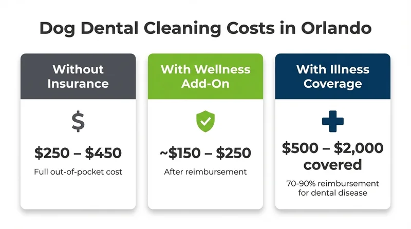Dog dental cleaning cost comparison in Orlando with and without pet insurance coverage