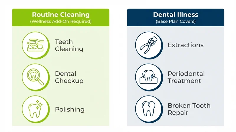 Infographic comparing routine dental cleaning coverage versus dental illness coverage under pet insurance plans