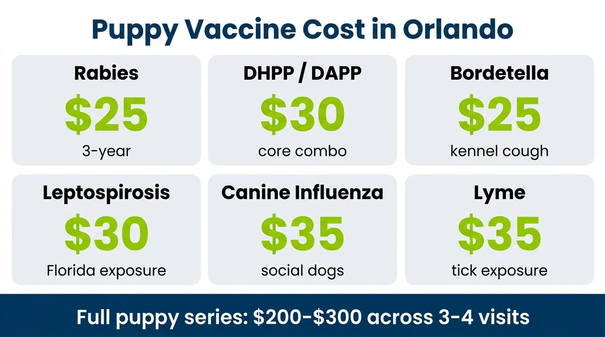 Orlando puppy vaccine cost breakdown — Rabies $25, DHPP $30, Bordetella $25, Leptospirosis $30, Canine Influenza $35, Lyme $35 — full puppy series $200 to $300 across 3 to 4 visits