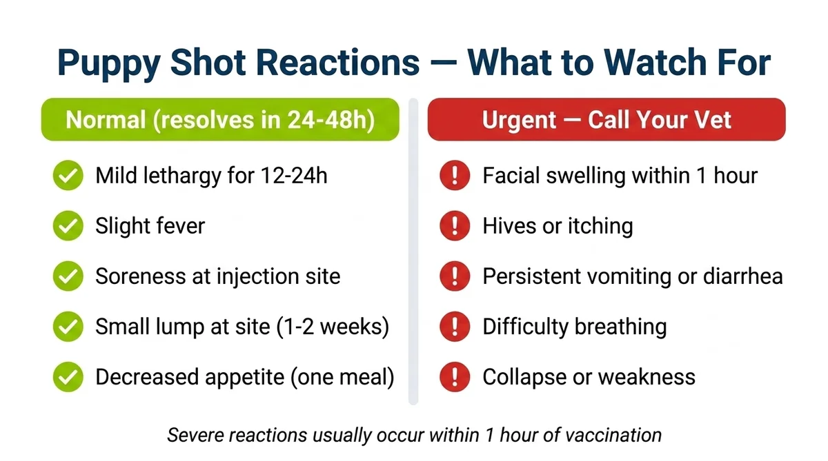 Puppy shot reactions comparison — normal reactions (mild lethargy, slight fever, soreness, small lump, decreased appetite) versus urgent signs requiring a vet call (facial swelling, hives, persistent vomiting, breathing difficulty, collapse)