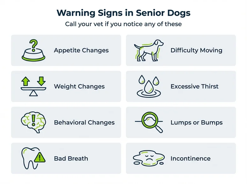 Eight warning signs in senior dogs that need veterinary attention