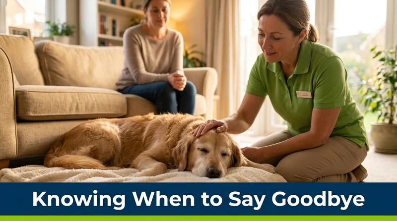 Veterinarian providing in-home pet euthanasia in a calm, familiar home environment