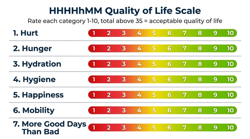 HHHHHMM quality of life scale with seven categories scored from 1 to 10: Hurt, Hunger, Hydration, Hygiene, Happiness, Mobility, More Good Days