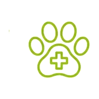 Puppy & Kitten Packages