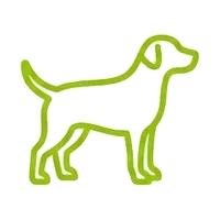 Senior Pet Care